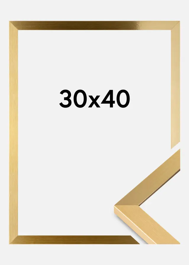 BGA Fotolijst Selection Acrylglas Goud 30x40 cm