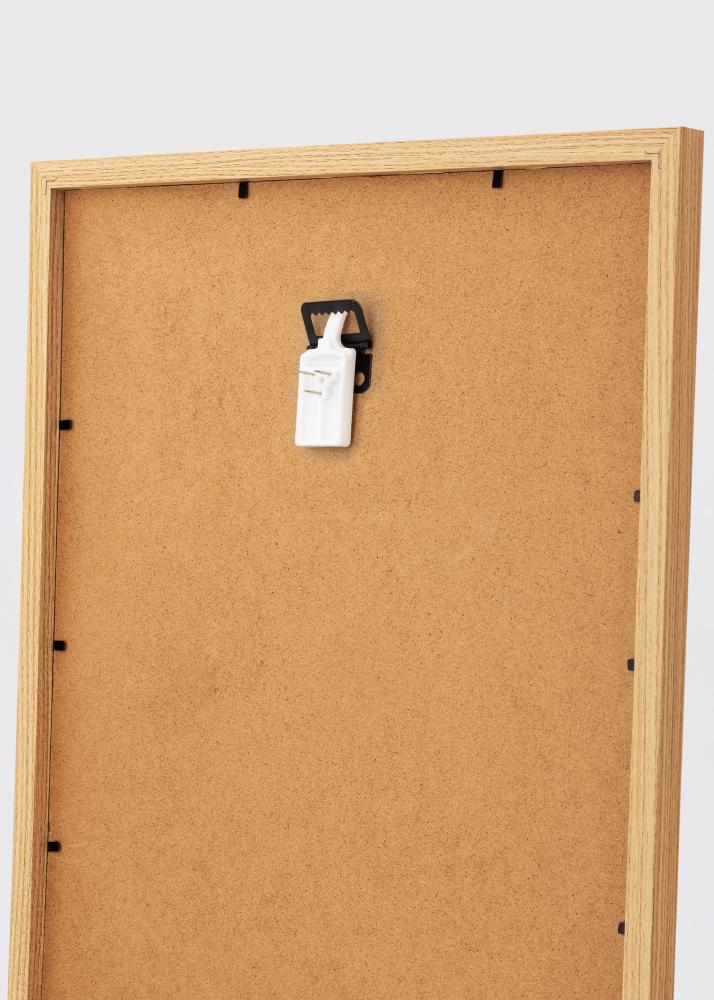 ID Factory XG - 138 Schilderijhaak voor elke muur - BGA Schilderijhaak 2-p