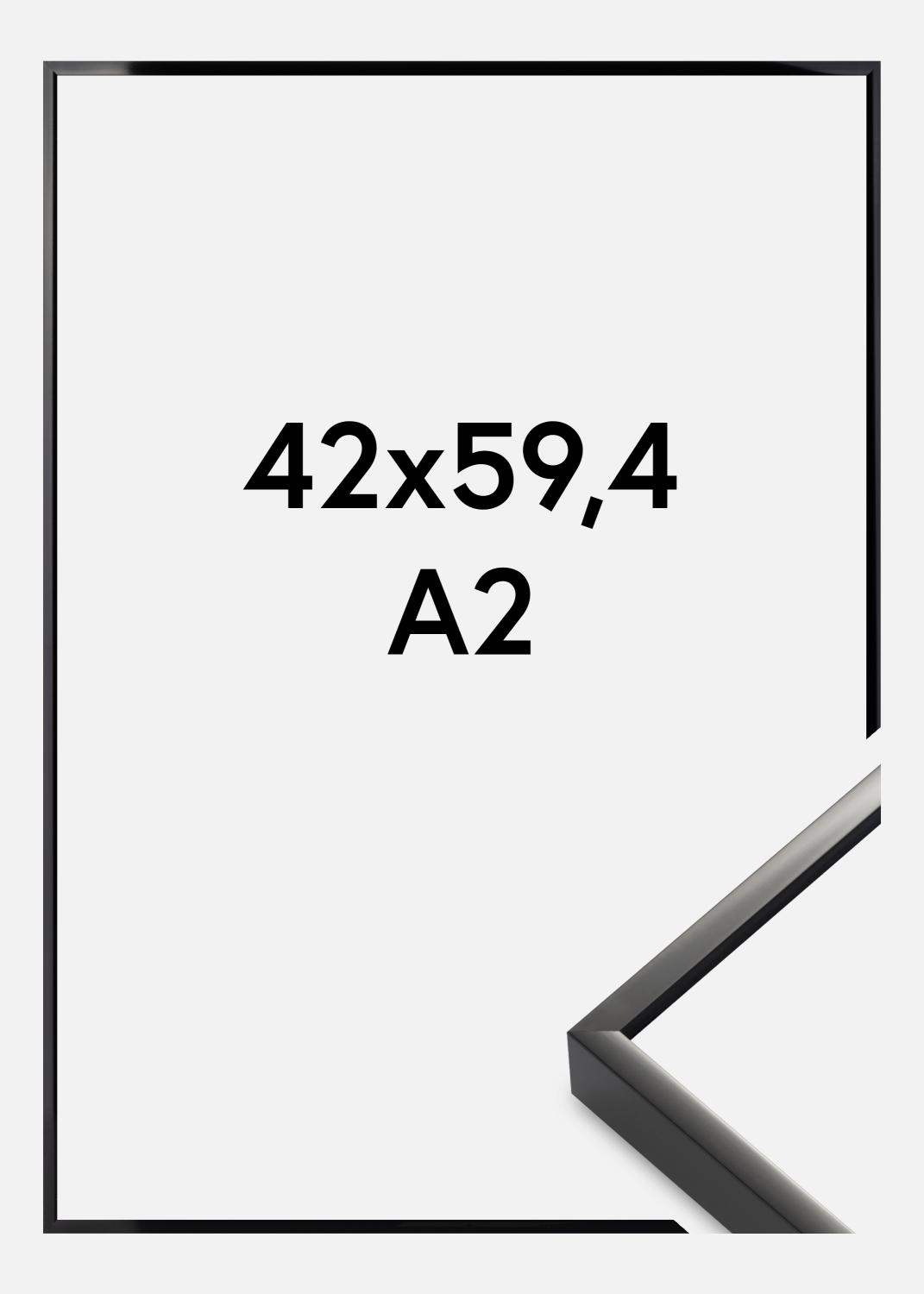 Product Image for Fotolijst Nielsen Premium Alpha Blank Zwart 42x59,4 cm (A2)