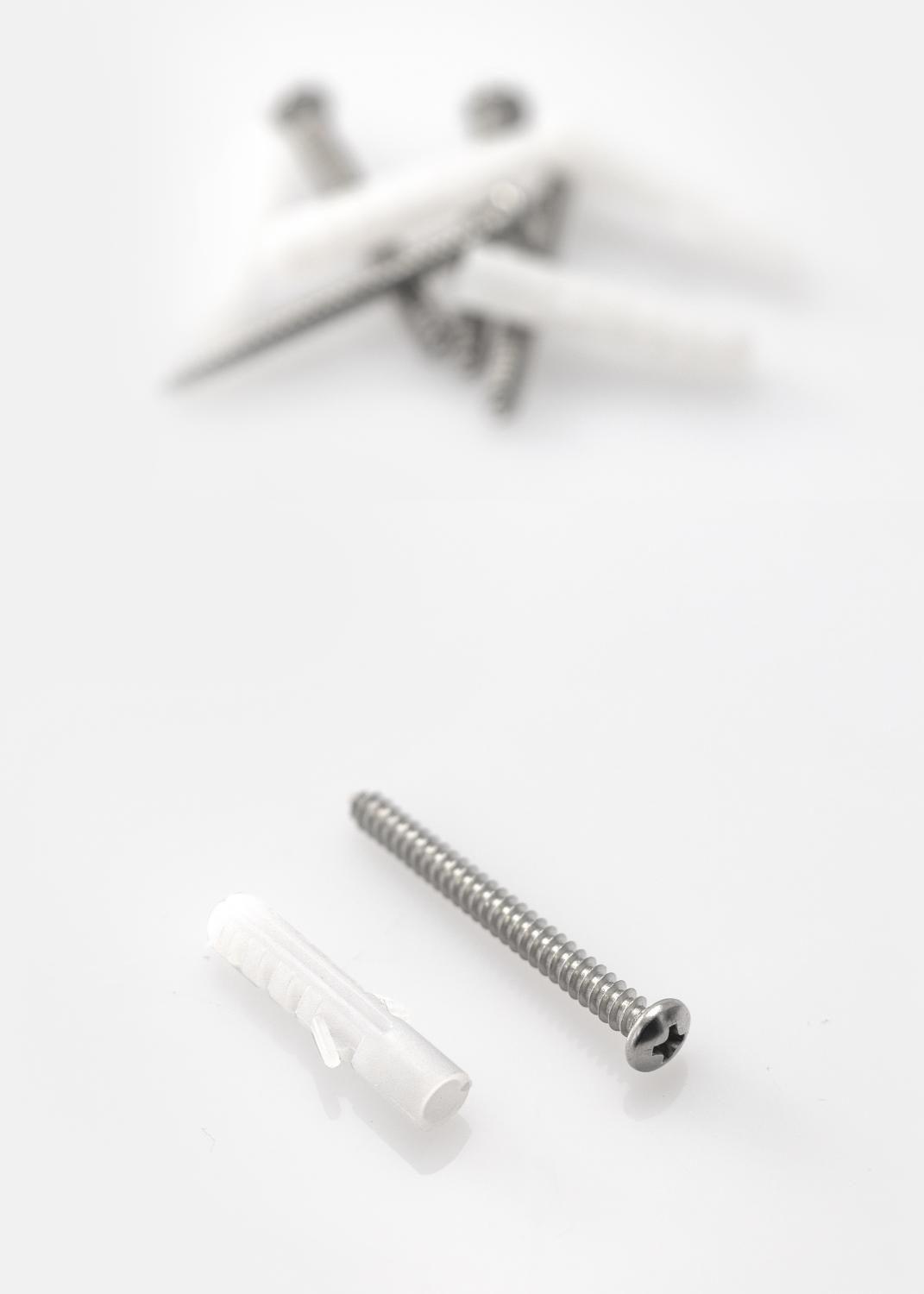 Product Image for BGA Schroeven en pluggen voor betonmuur - 5-pack (40x8 mm)
