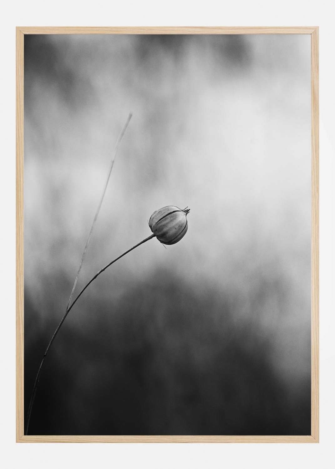 Product Image for Flax After Flowering Poster (21x29.7 cm (A4))