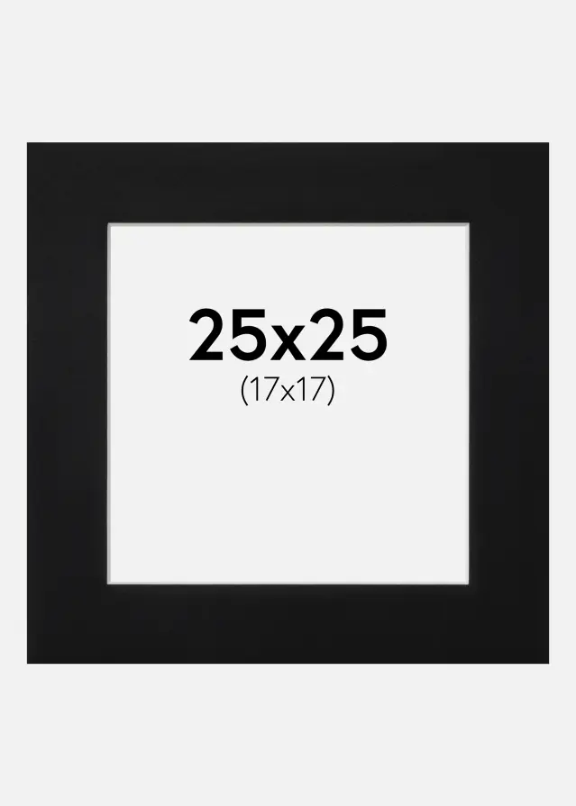 Artlink Passe-partout Zwart Standaard (Witte kern) 25x25 cm (17x17)