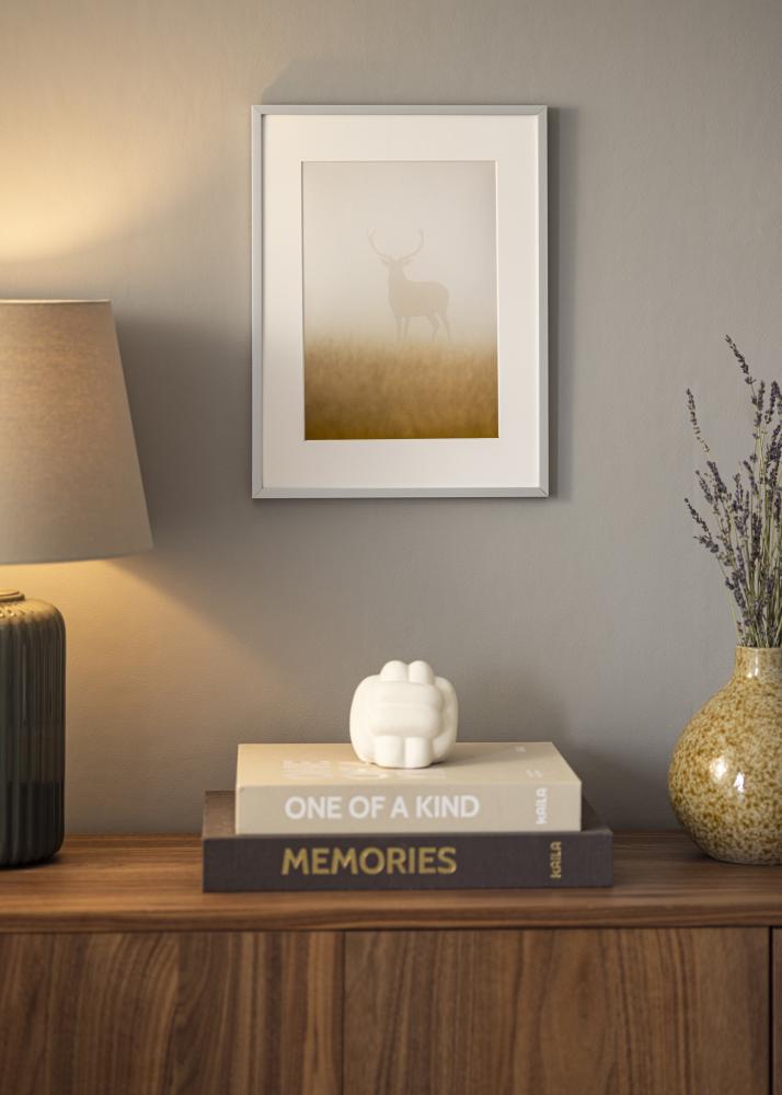 Ramverkstad Spiegel Helsingfors Zilver - Eigen afmetingen