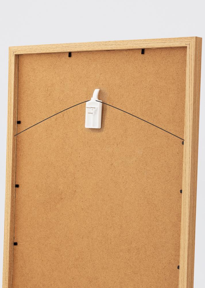 ID Factory XG - 138 Schilderijhaak voor elke muur - BGA Schilderijhaak 2-p