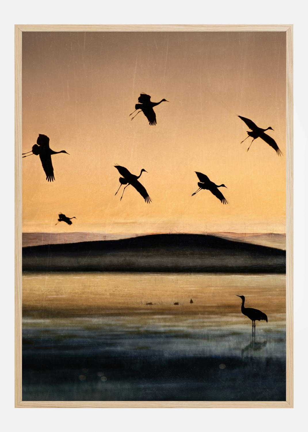 Product Image for Fly-In At Sunset Poster (21x29.7 cm (A4))