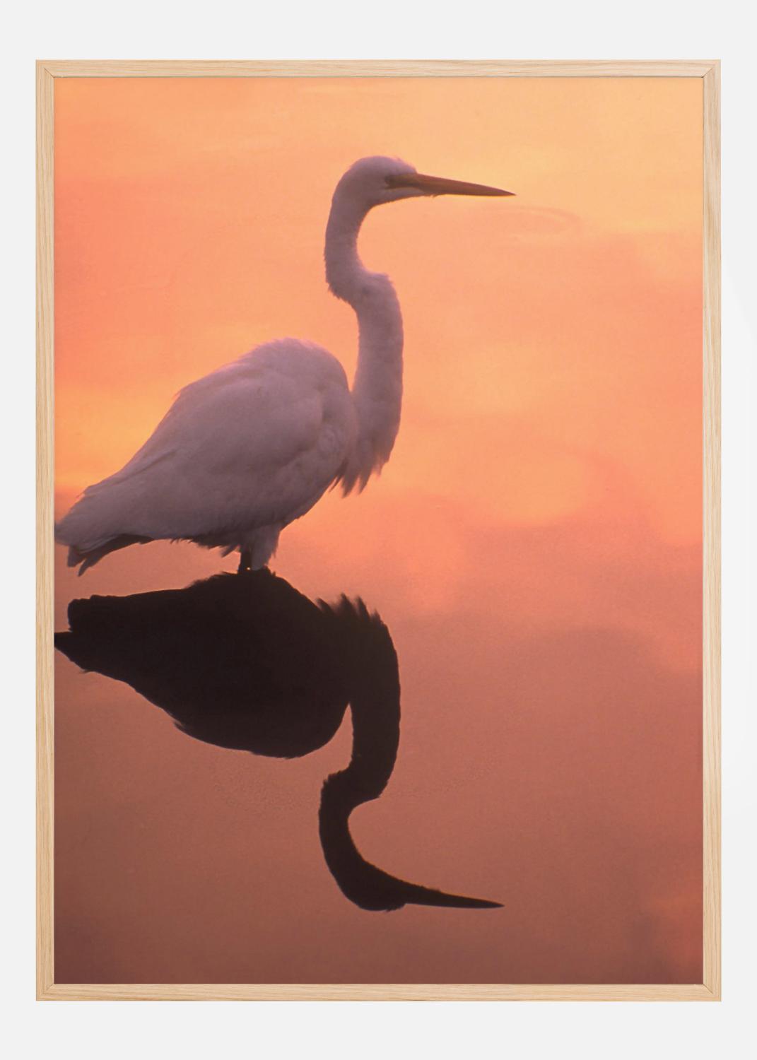 Product Image for Bird In Orange Water Poster (21x29.7 cm (A4))