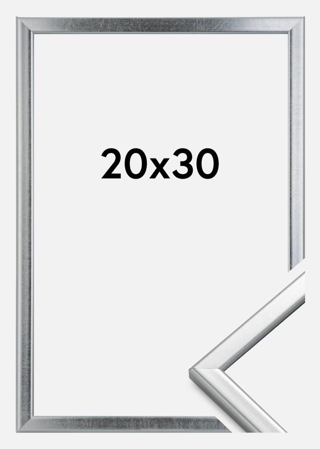 HHC Distribution Fotolijst Slim Mat Ontspiegeld Glas Zilver 20x30 cm