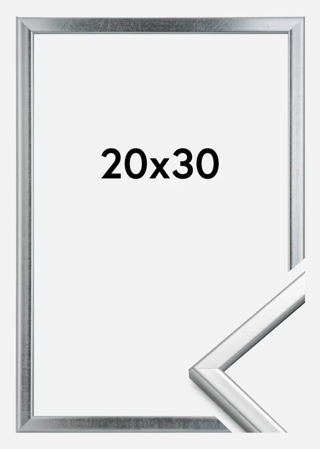 HHC Distribution Fotolijst Slim Mat Ontspiegeld Glas Zilver 20x30 cm