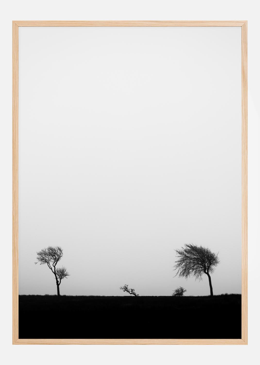 Product Image for Storm Poster (21x29.7 cm (A4))