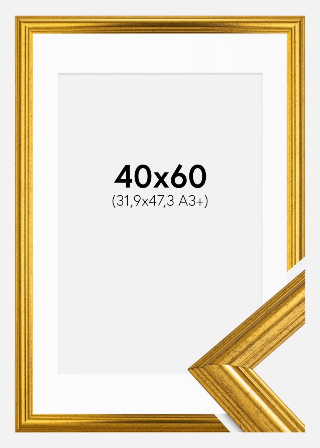 Ram med passepartou Fotolijst Västkusten Goud 40x60 cm - Passe-partout Wit 32,9x48,3 cm (A3+)