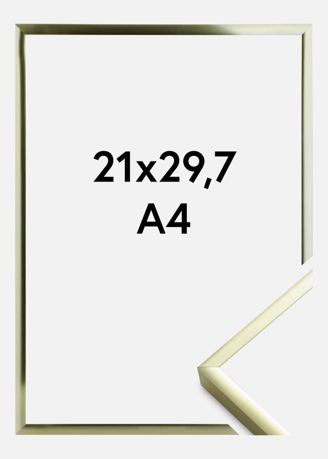 Artlink Fotolijst Poster Aluminum Gold 21x29,7 cm (A4)