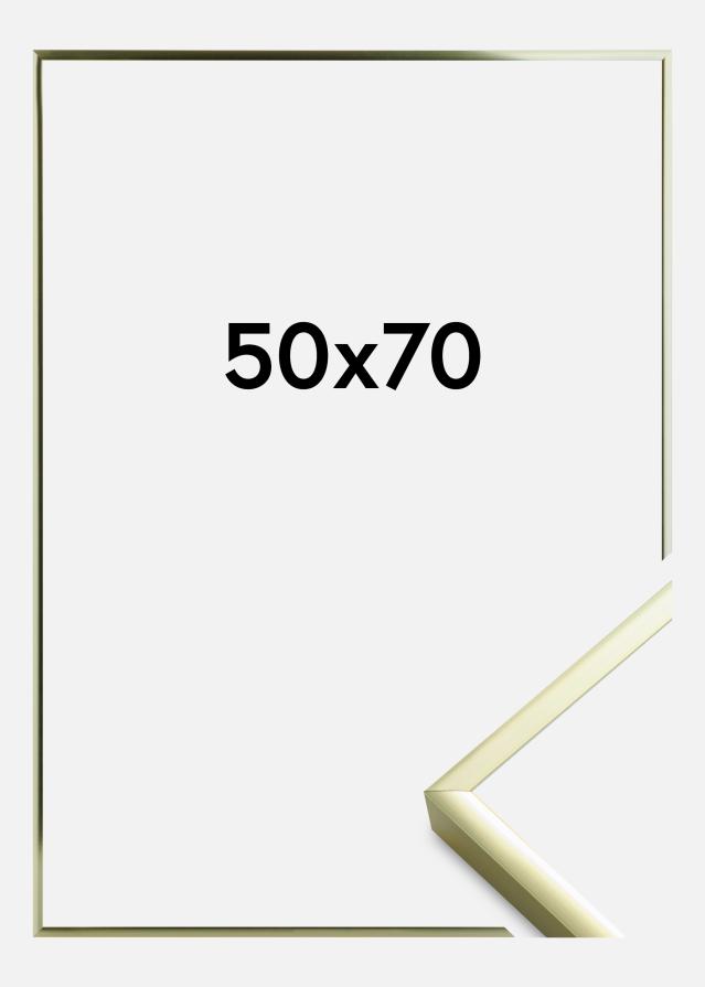Artlink Fotolijst Poster Aluminum Gold 50x70 cm