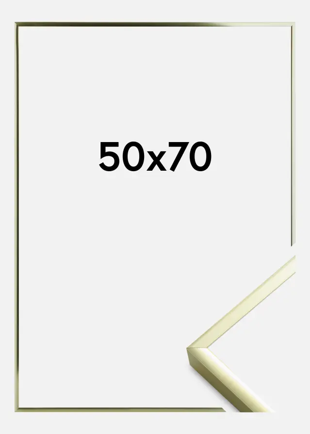 Artlink Fotolijst Poster Aluminum Gold 50x70 cm