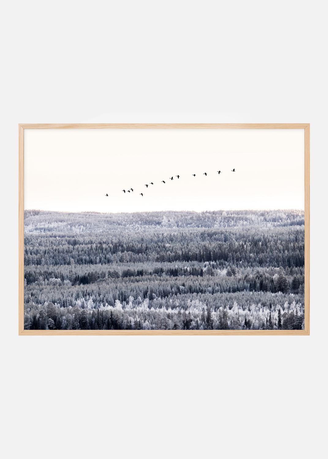 Product Image for Follow me into the world Poster (21x29,7 cm (A4))