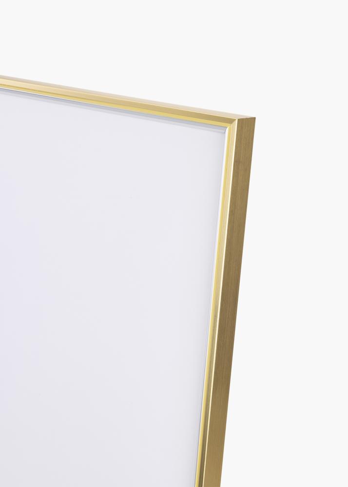 Walther Fotolijst Hipster Acrylglas Goud-Zilver 60x80 cm