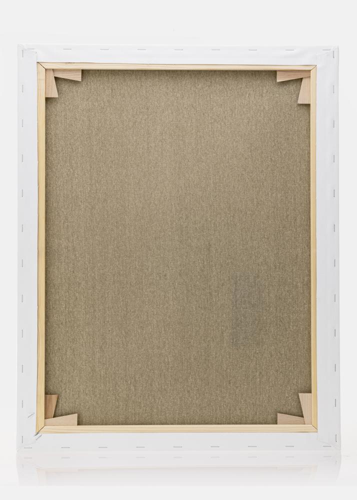 Estancia Canvas Premium Wit 40x50 cm