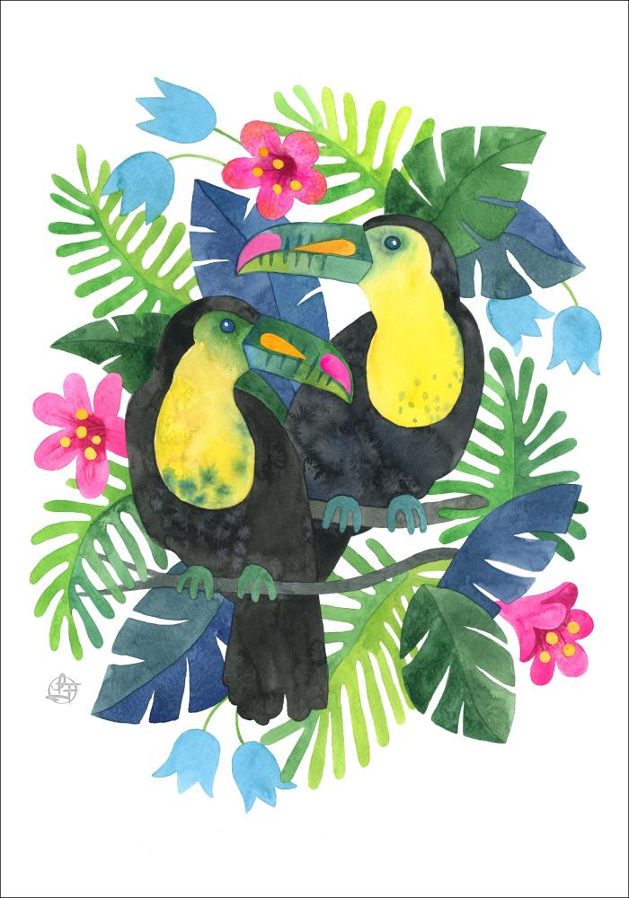Bildverkstad Tucan