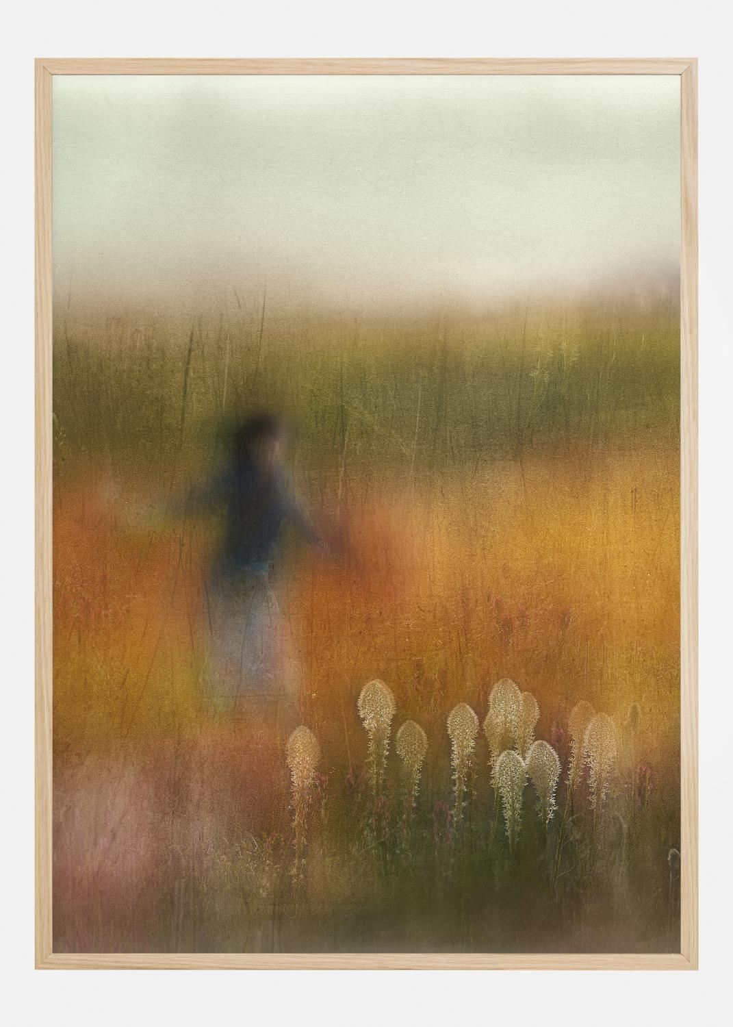 Product Image for A Girl And Bear Grass Poster (21x29.7 cm (A4))