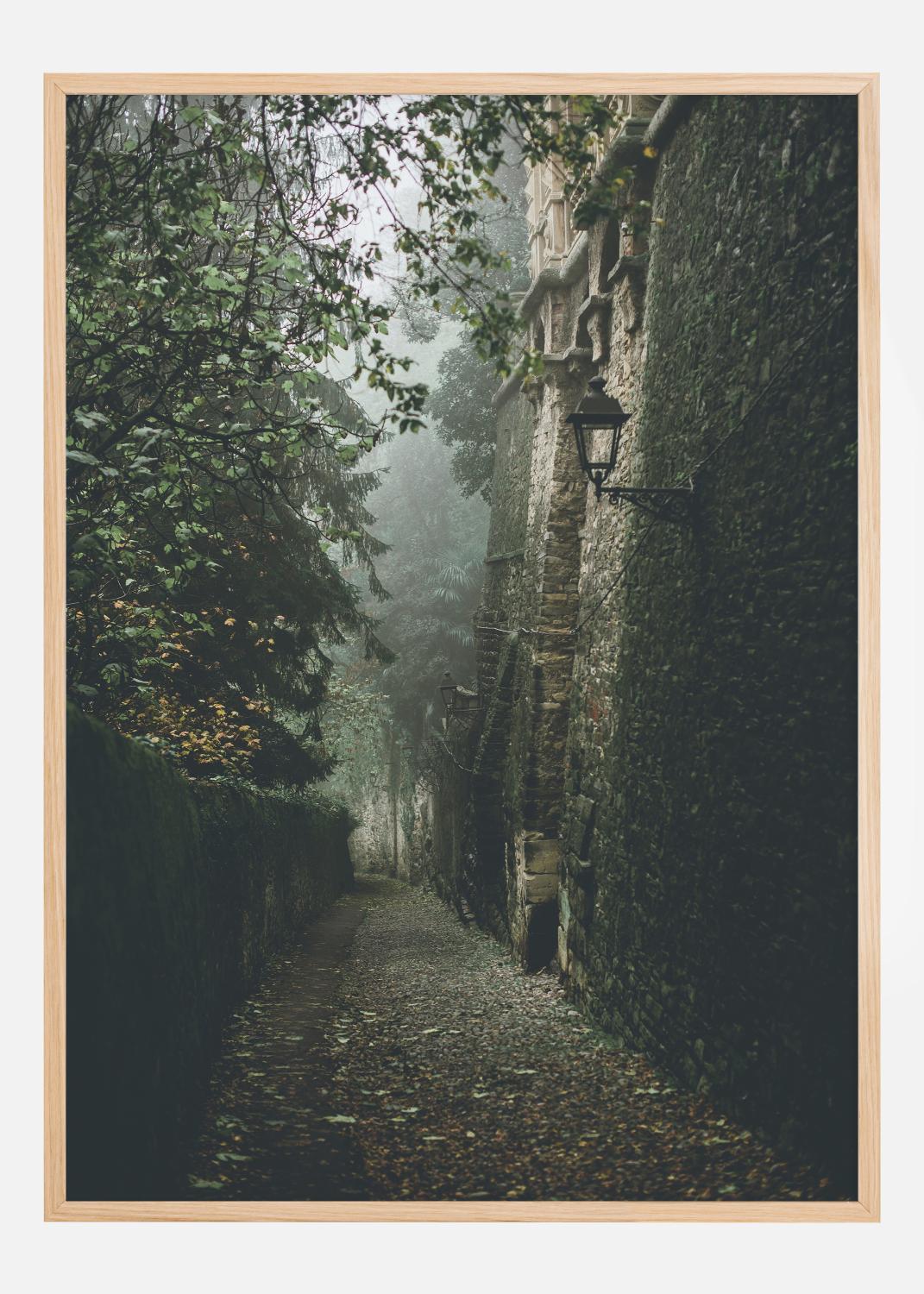 Product Image for Fogy street Poster (21x29.7 cm (A4))