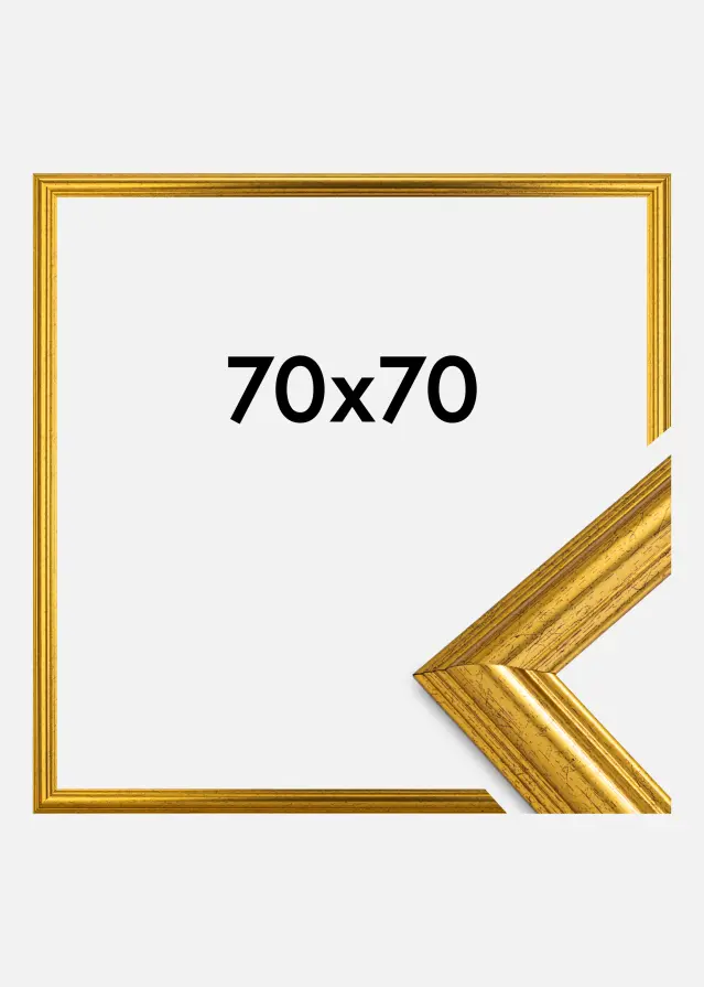 Galleri 1 Fotolijst Västkusten Goud 70x70 cm