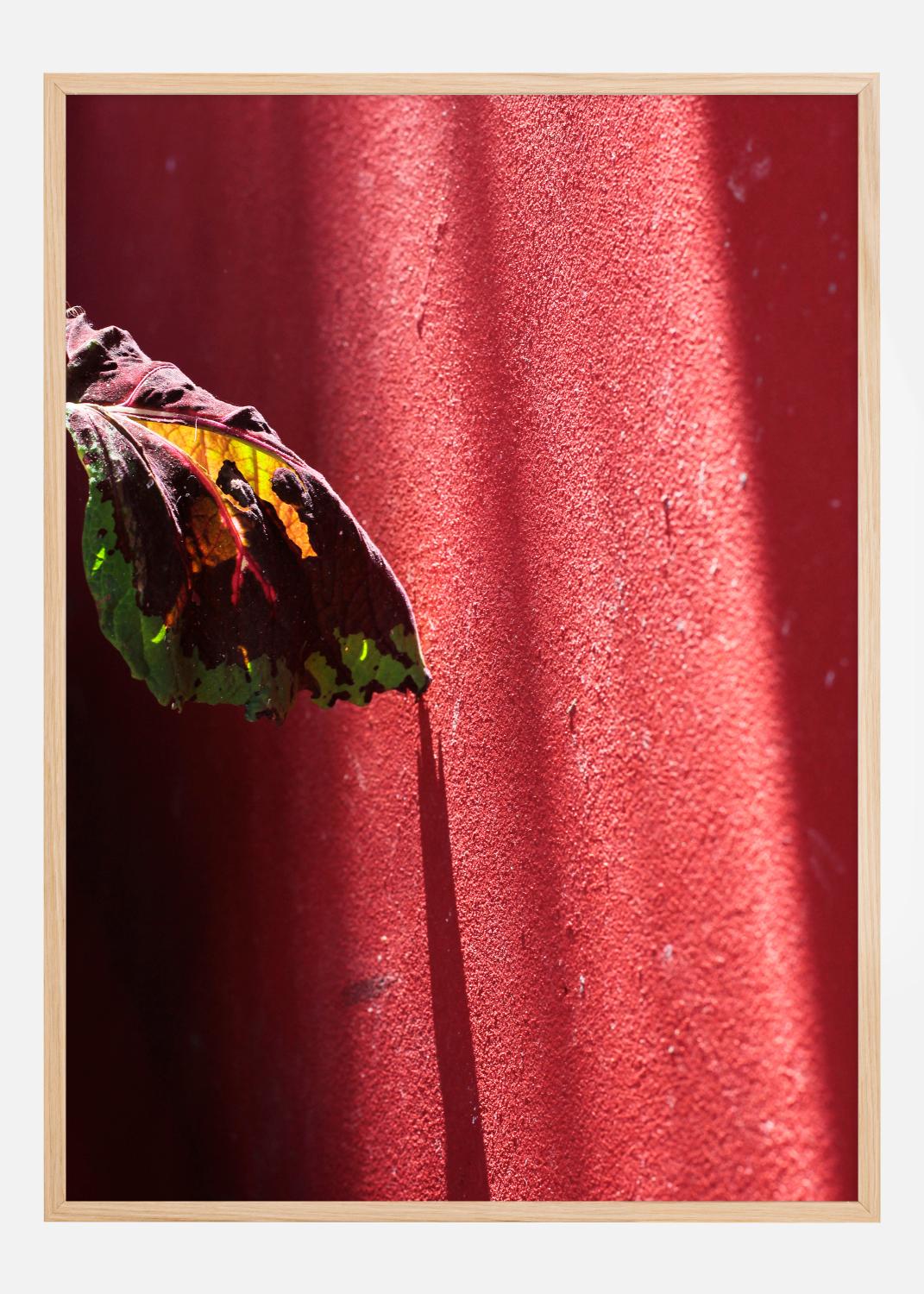 Product Image for Red wall Poster (30x40 cm)