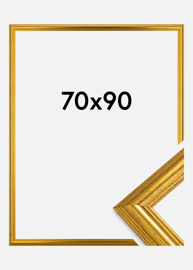 Jämtlands Ramfabrik Fotolijst Västkusten Acrylglas Goud 70x90 cm