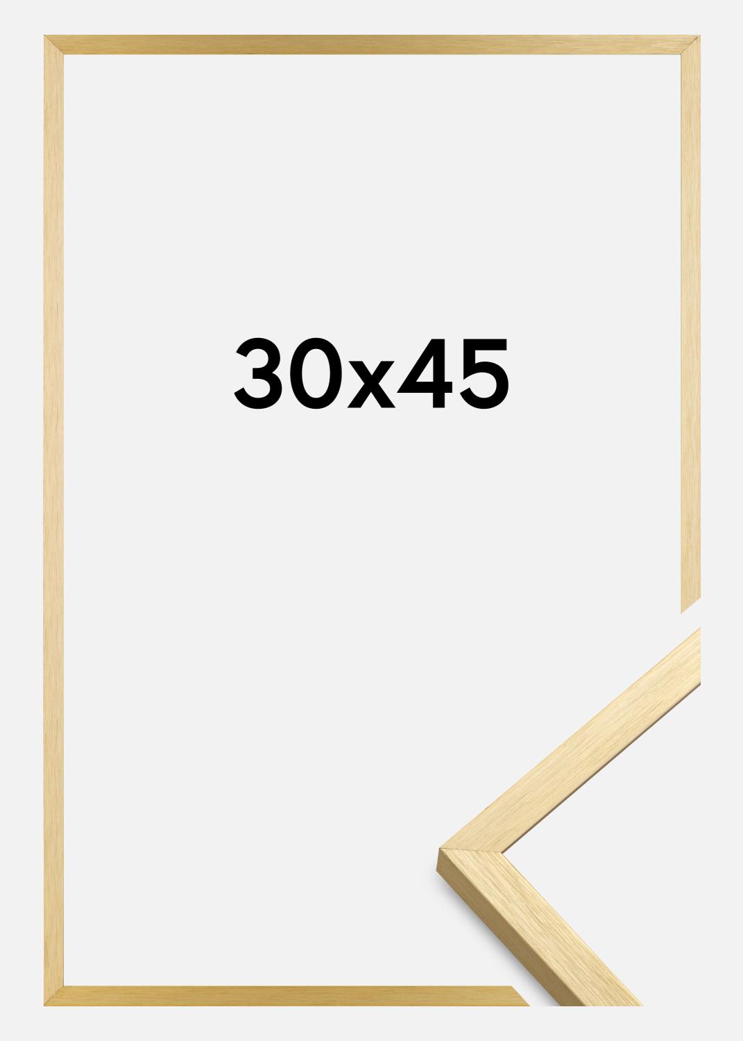 Product Image for Fotolijst Chair Goud 30x45 cm