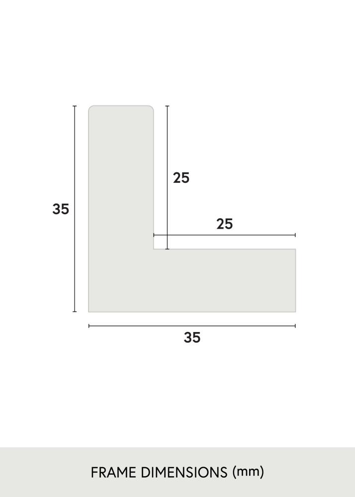 Jämtlands Ramfabrik Fotolijst Sussex Acrylglas Zwart/Goud 30x30 cm