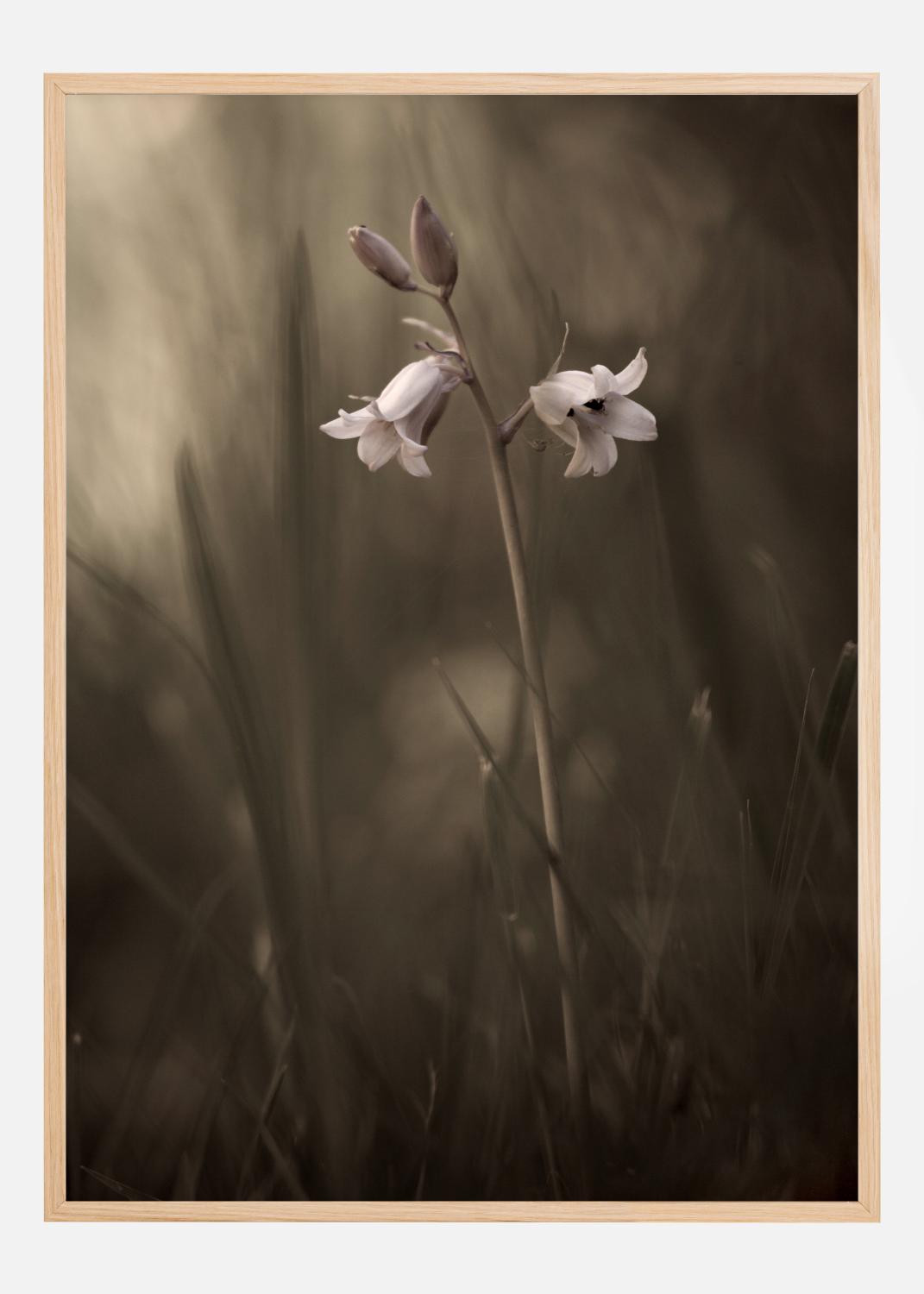 Product Image for A Small Flower On The Ground Poster (21x29.7 cm (A4))