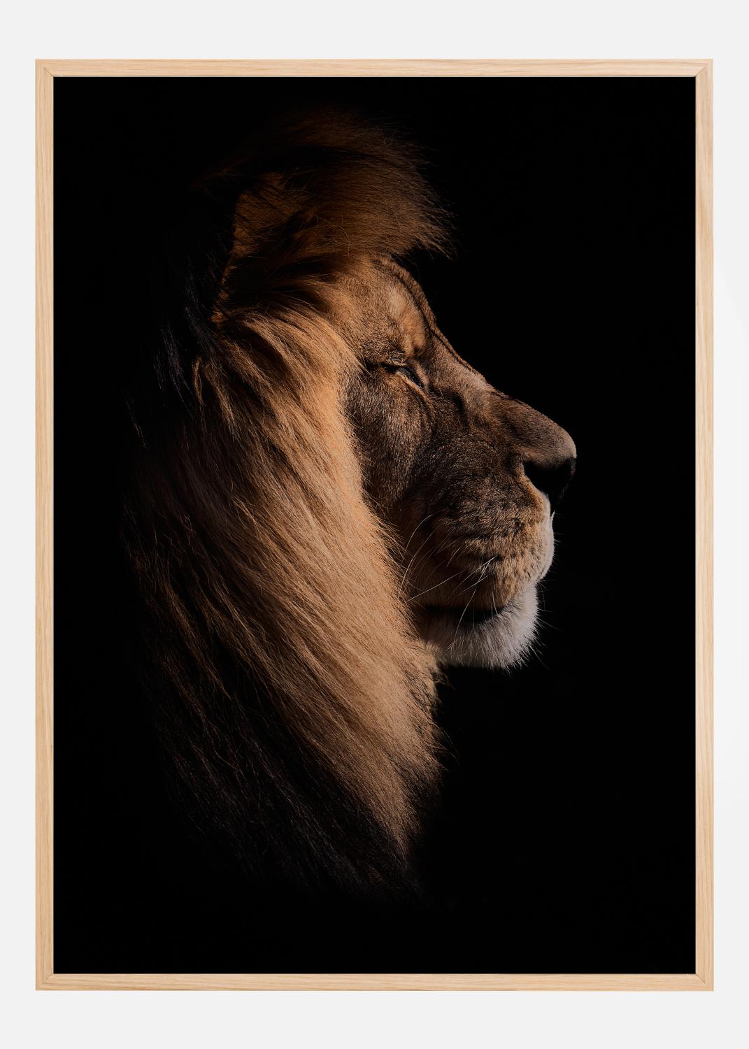 Product Image for Sleeping King Poster (21x29.7 cm (A4))