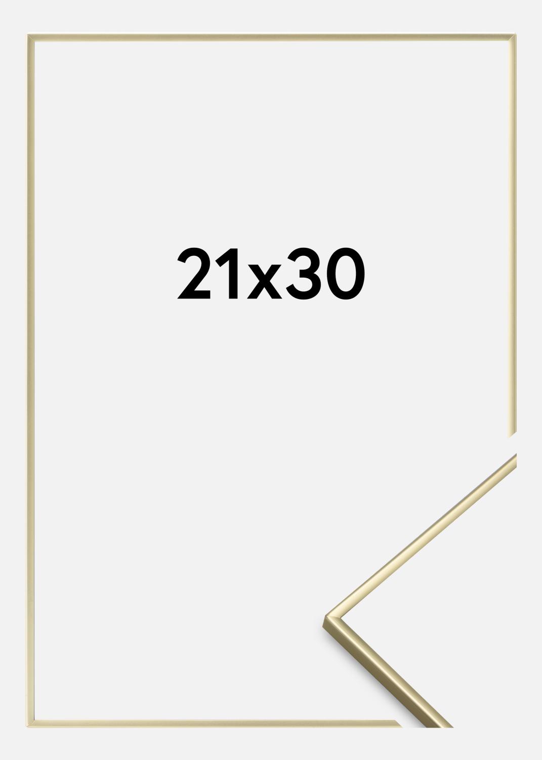 Product Image for Fotolijst Glad Metaal Goud 21x30 cm