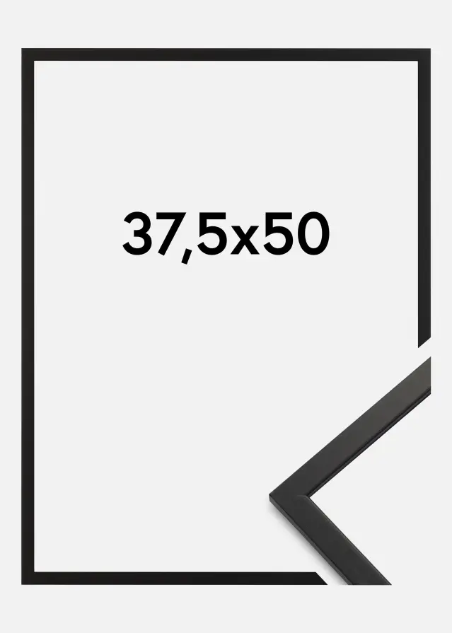 Galleri 1 Fotolijst Edsbyn Acrylglas Zwart 37,5x50 cm