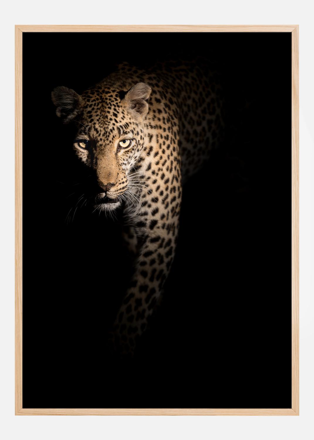 Product Image for Out of the darkness Poster (21x29.7 cm (A4))