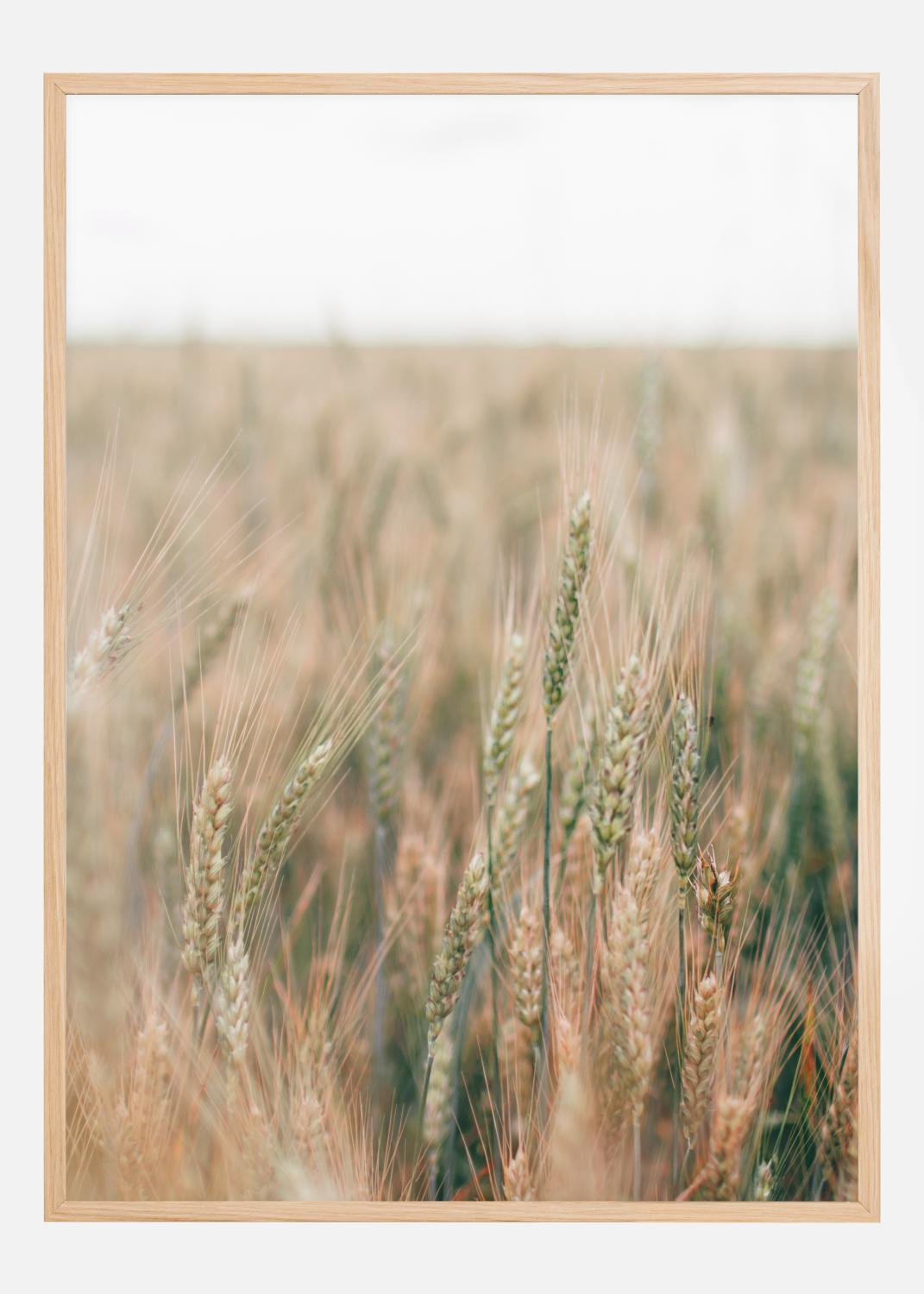 Product Image for Summer Fields Poster (21x29.7 cm (A4))
