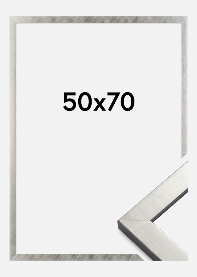 Galleri 1 Fotolijst Uppsala Zilver 50x70 cm