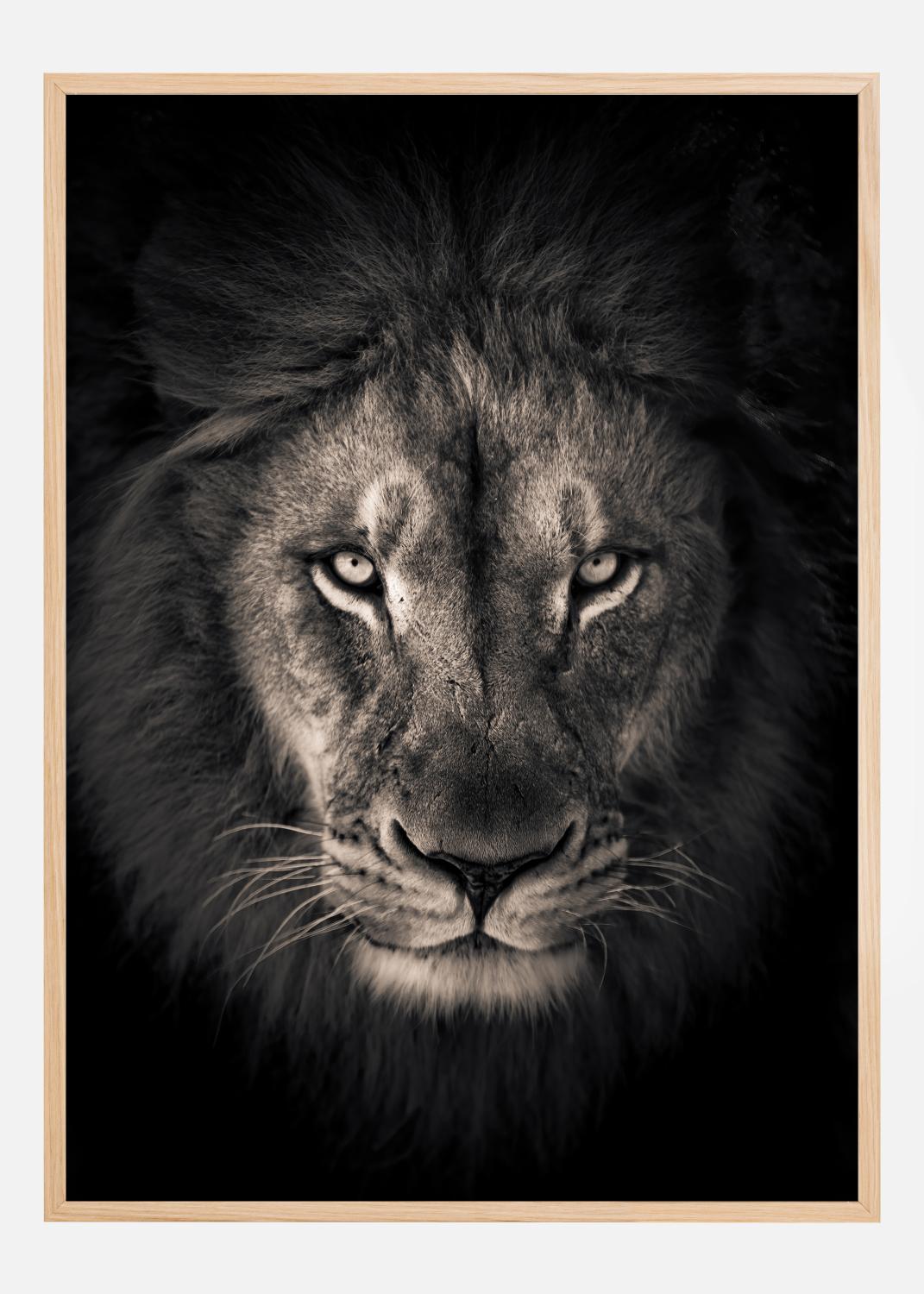 Product Image for The king Poster (21x29.7 cm (A4))
