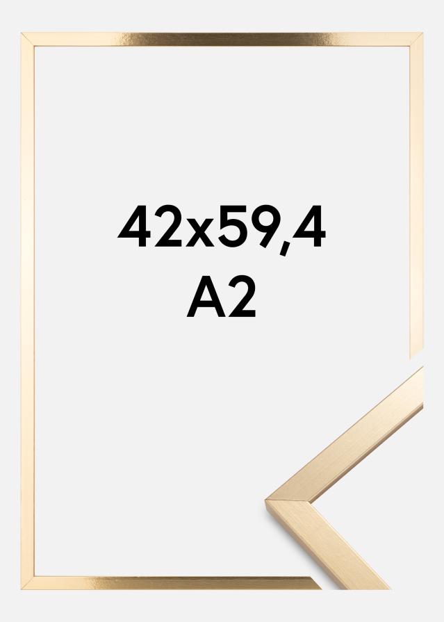 Artlink Fotolijst Trendy Goud 42x59,4 cm (A2)