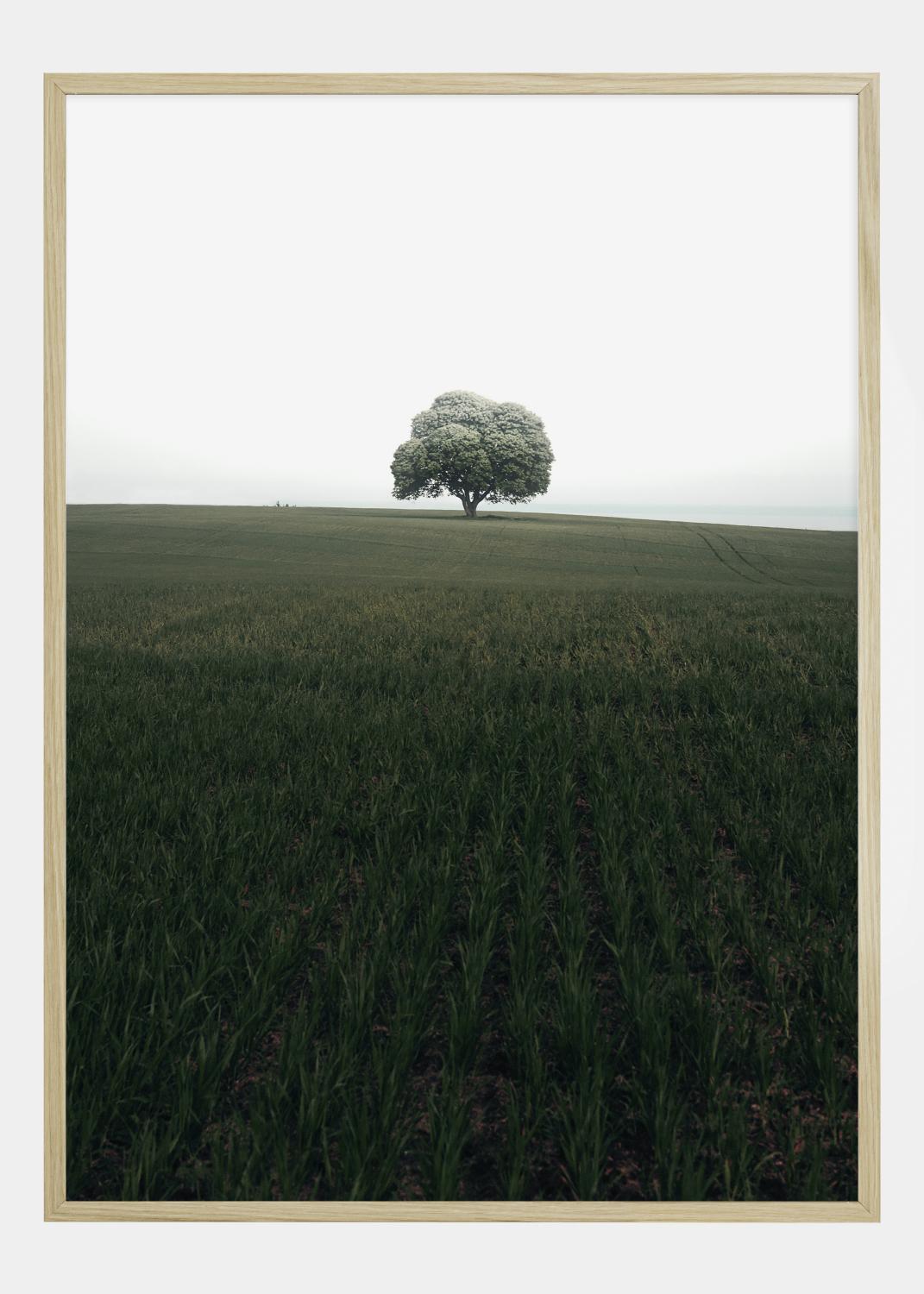 Product Image for The lonely oak tree Poster (21x29.7 cm (A4))