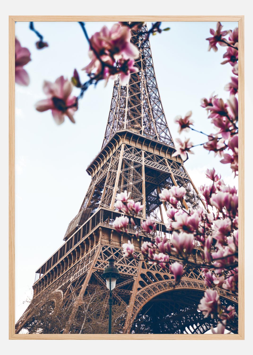 Product Image for Eiffel Tower Blossoms Poster (21x29,7 cm (A4))