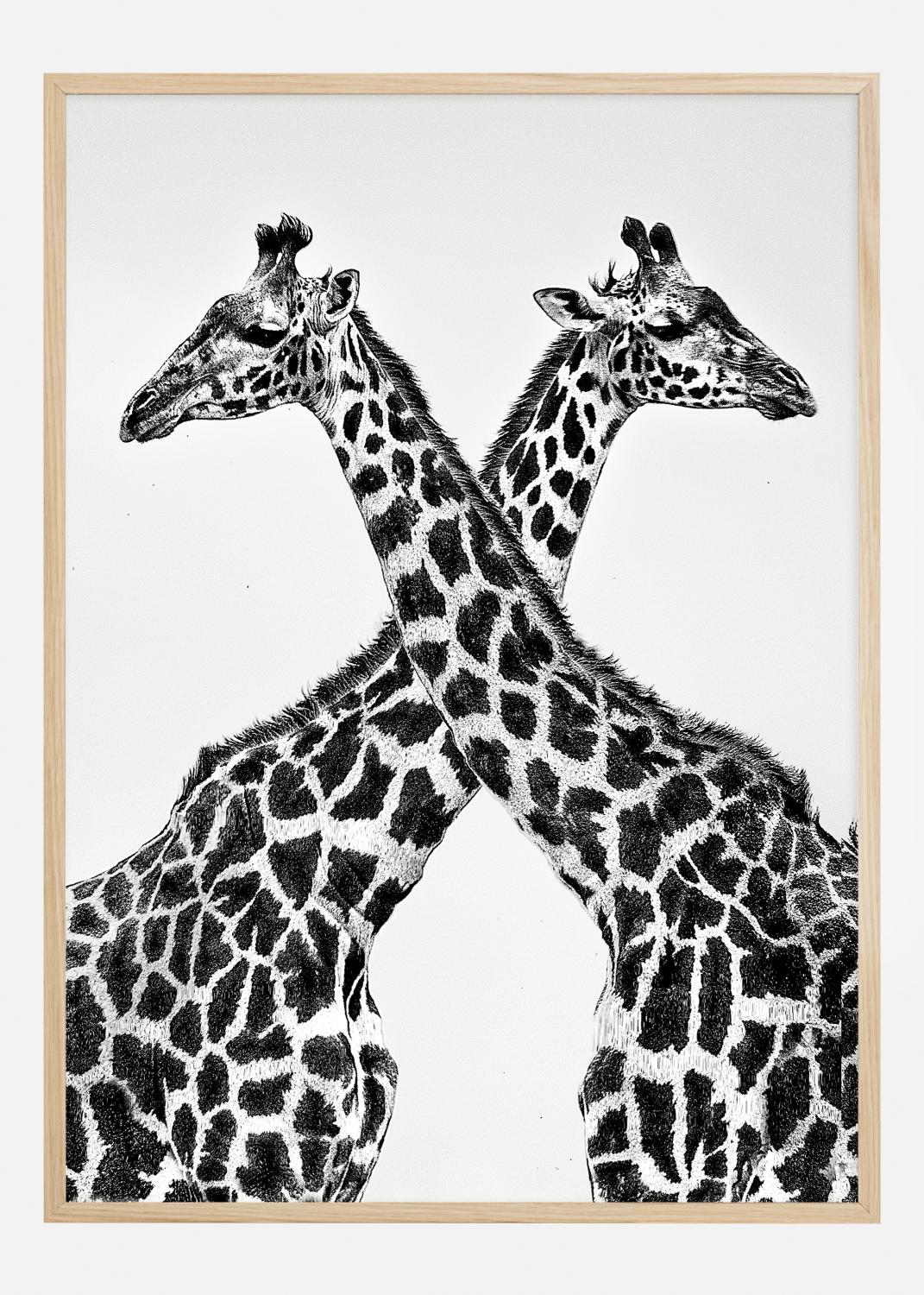 Product Image for Two giraffe towers Poster (30x40 cm)