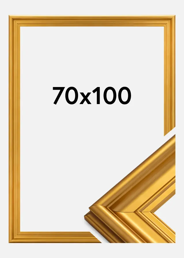 Ramverkstad Fotolijst Mora Premium Goud 70x100 cm
