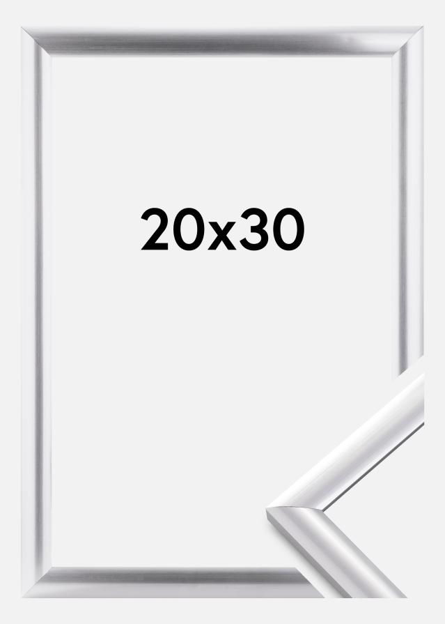 Walther Fotolijst Trendstyle Zilver 20x30 cm