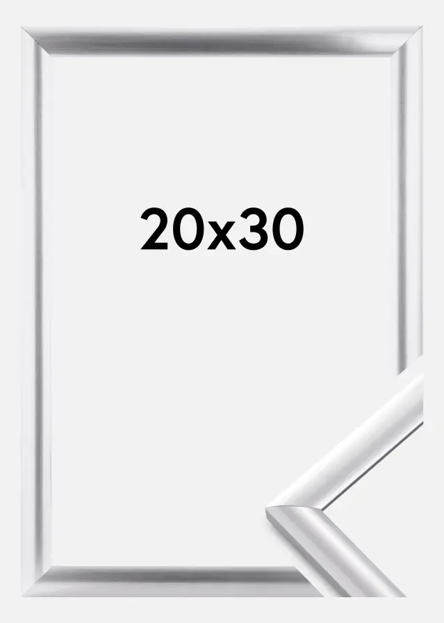 Walther Fotolijst Trendstyle Zilver 20x30 cm