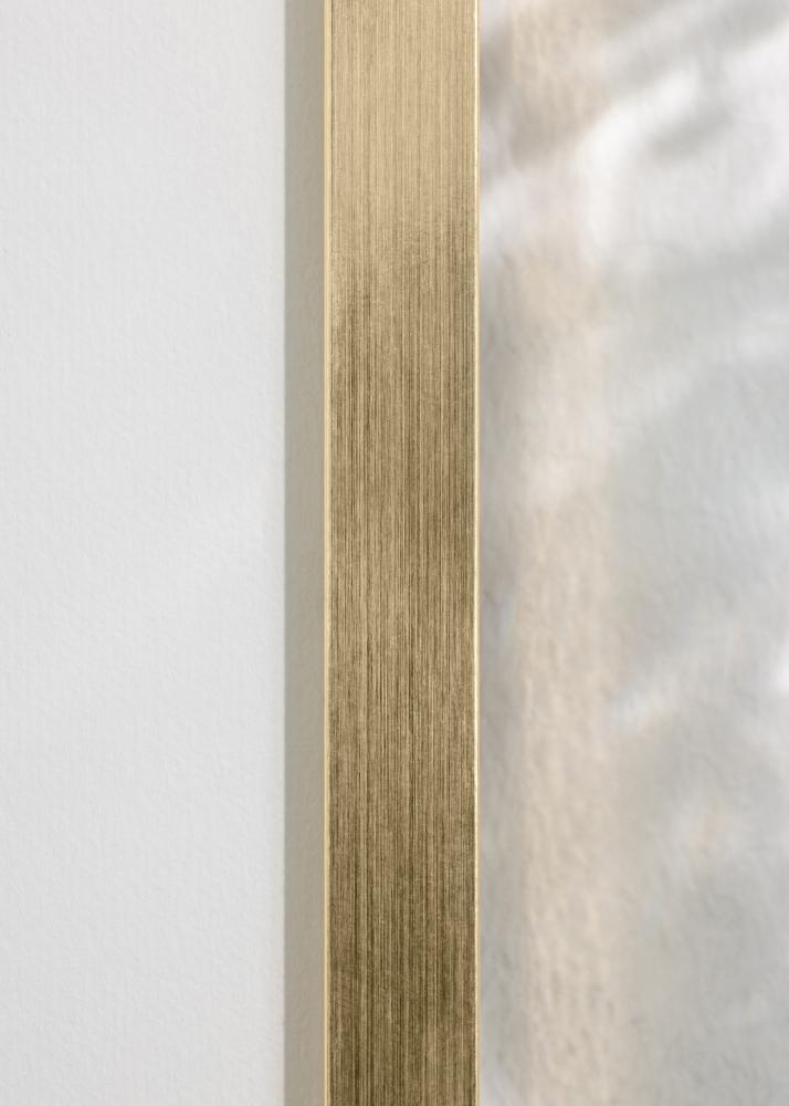 BGA Fotolijst Trendy Acrylglas Goud 50x70 cm