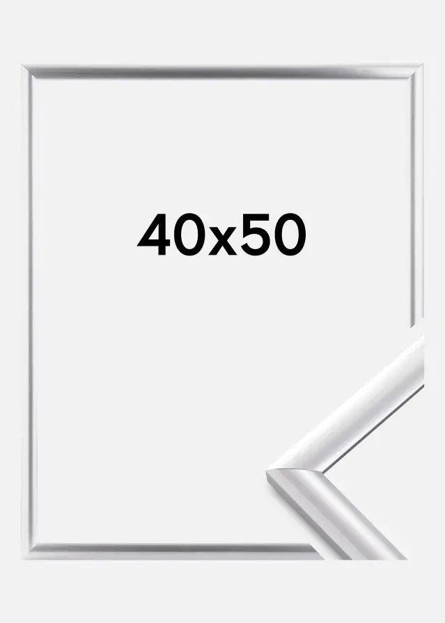 Walther Fotolijst Trendstyle Zilver 40x50 cm