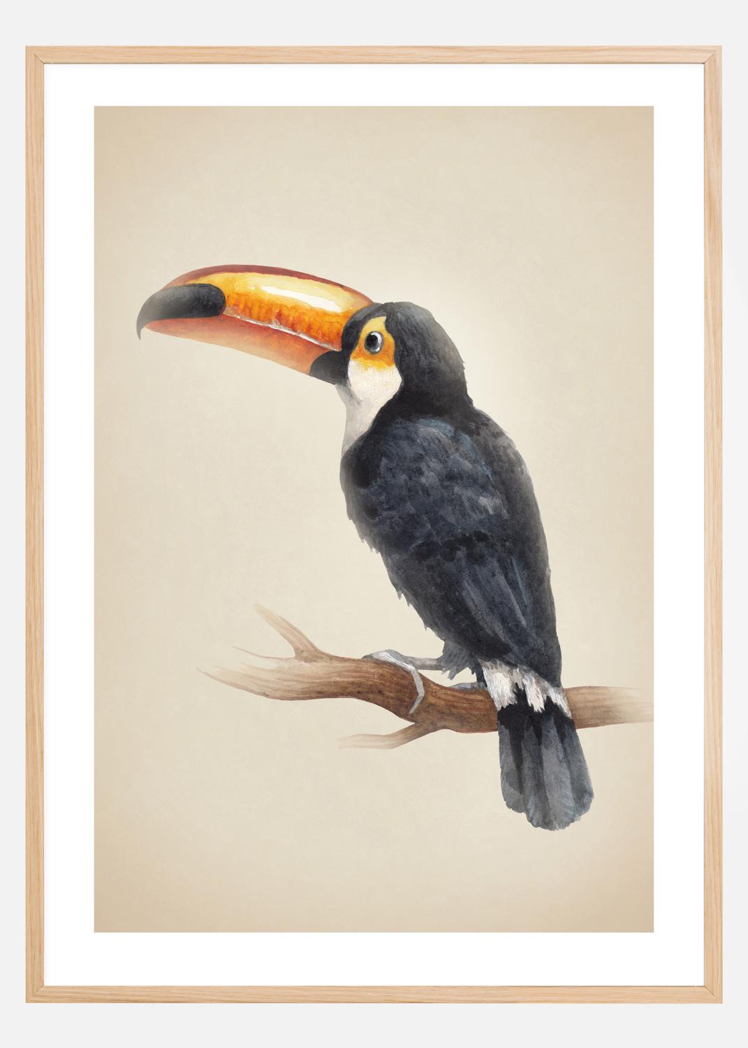 Product Image for Tropical Toucan Poster (21x29.7 cm (A4))