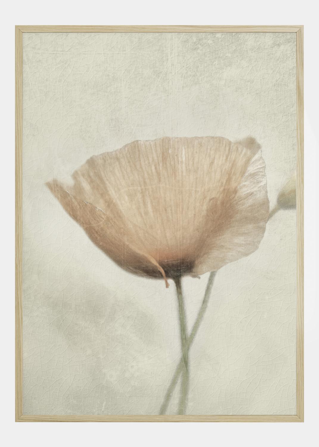 Product Image for Jewel Of Nature Poster (21x29.7 cm (A4))