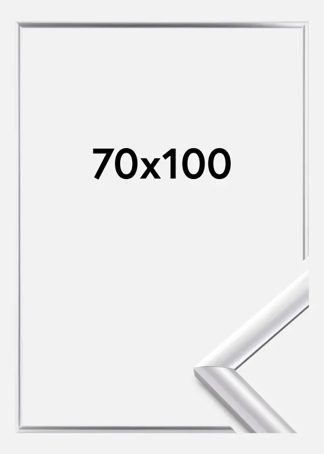 Walther Fotolijst Trendstyle Zilver 70x100 cm