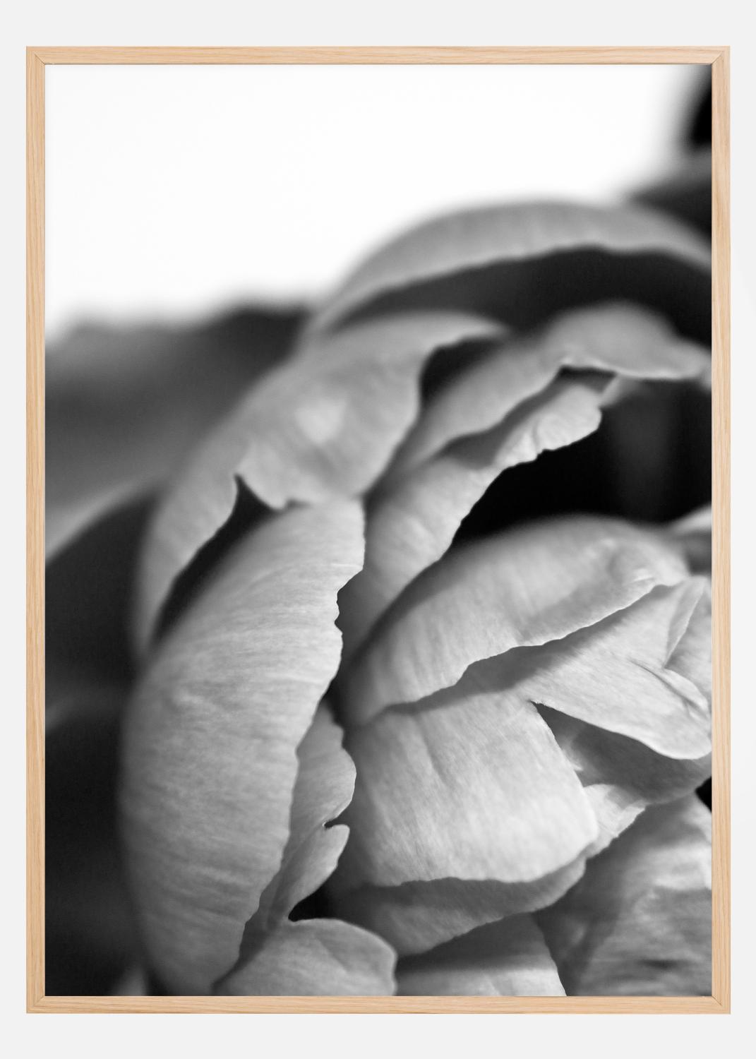 Product Image for Peony B&amp;W Poster (30x40 cm)