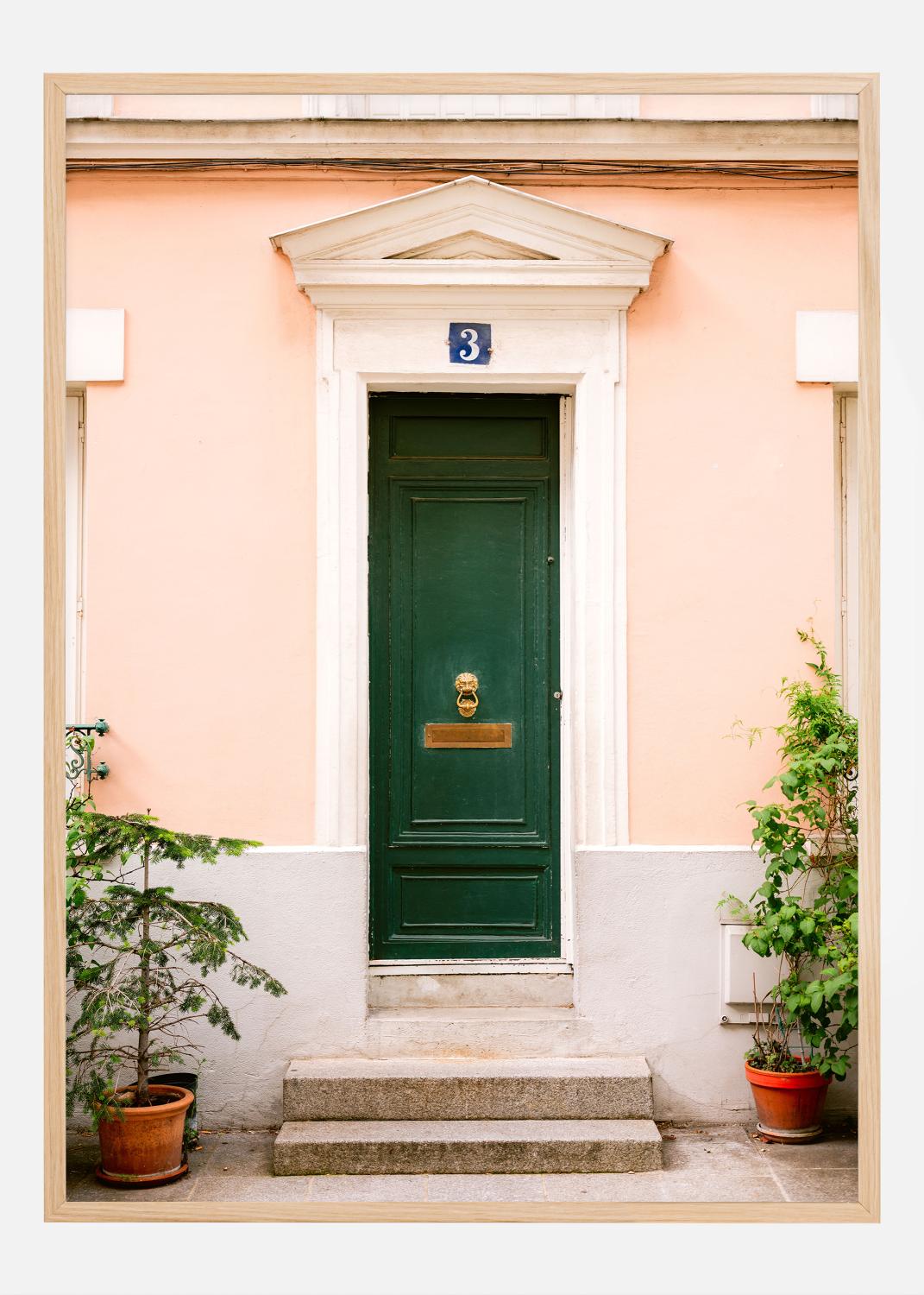 Product Image for Green Paris Door Poster (21x29.7 cm (A4))